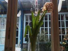 -花·fleur古董西餐厅(西城夜未央店)