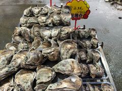 -蚝专家(北滘店)