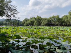 -承德避暑山庄景区