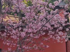 -乌山风景区