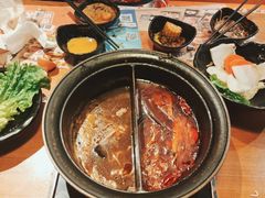 -呷哺呷哺(星光天地店)