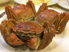 -王宝和酒家(黄浦店)