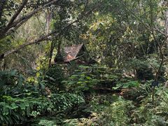 -中国科学院西双版纳热带植物园