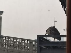 -合风谷(南下塘店)