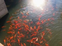 -重元寺香积厨素斋馆