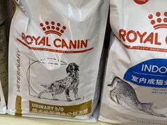 -渲嗳动物医院(异宠·复杂内科转诊中心·玖洲道富华里分院)