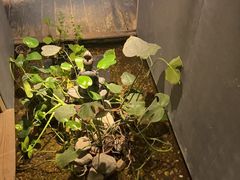 -邈墨茶馆(凤起路店)