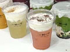 -一树一叶·福建茶档(石鼓路店)