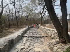 -阳台山自然风景区