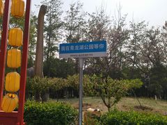 -青龙湖公园
