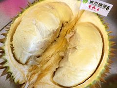 -都念榴莲·城市榴莲