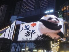 -合景·悠方(成都店)