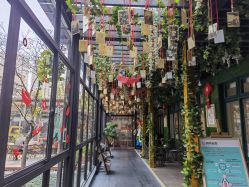 -保丽宝泰母婴护理院·月子中心·产康·中医(常州店)