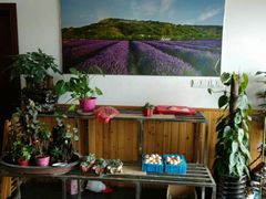 -呼吸森林·生态农庄农家乐私房菜