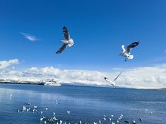 -青海湖二郎剑景区