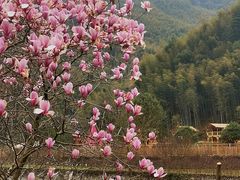 -鹿亭中村