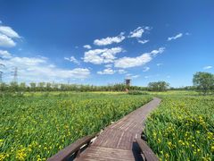 -永定河休闲森林公园