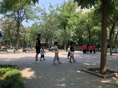 -武术世家少儿培训中心(首都体育学院店)