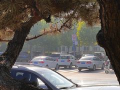 -南戴河旅游度假区