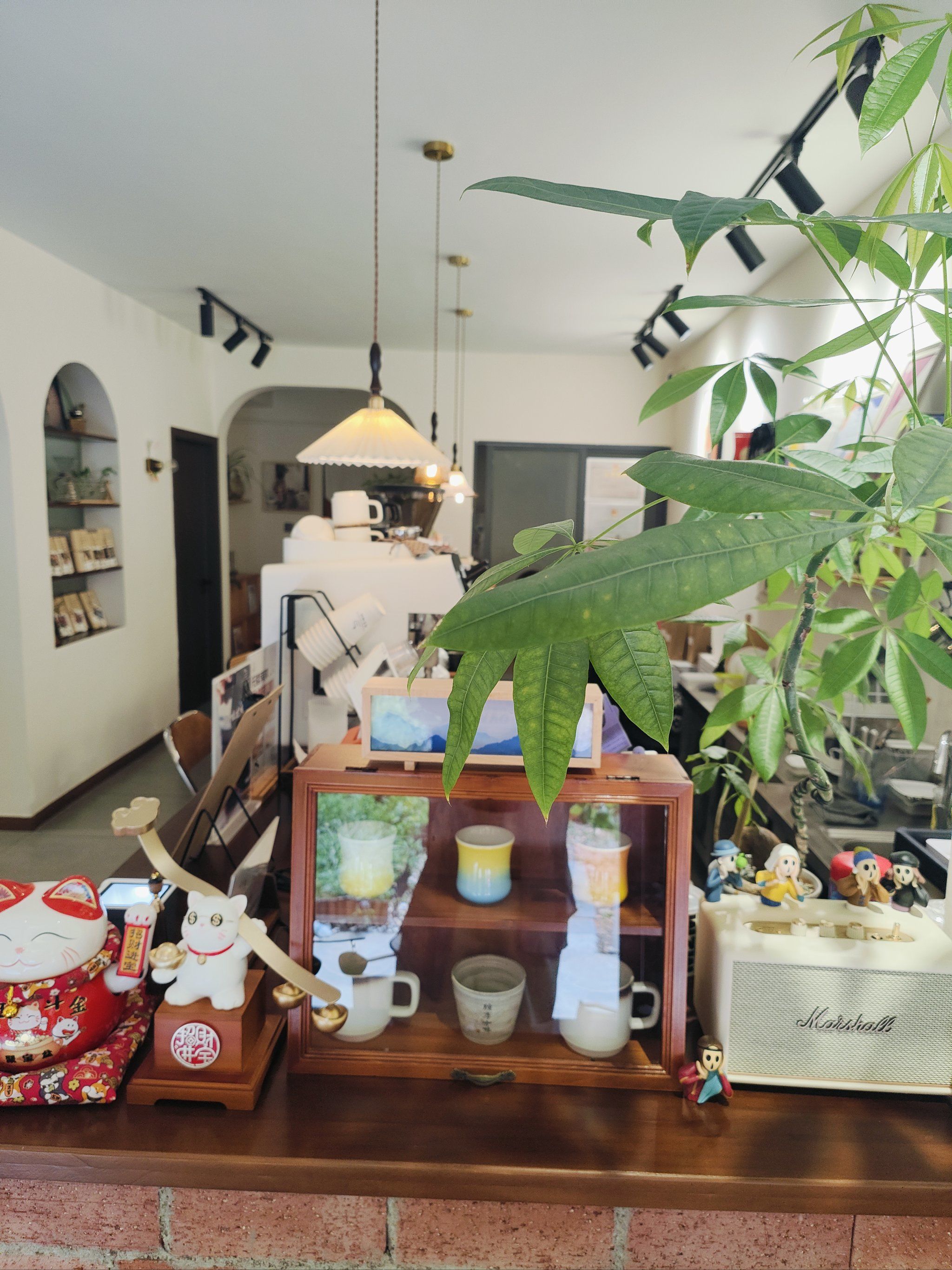 环境很好的咖啡下午茶店.位置在开福区朝正