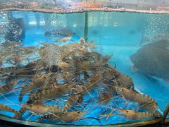 -耕渔小院·湖南鱼鲜(望城店)