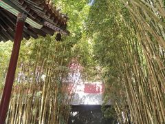 -潭柘寺景区