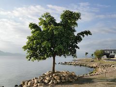 -大理洱海