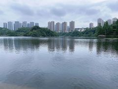 -重庆彩云湖湿地公园