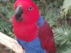 -南宫五洲植物乐园