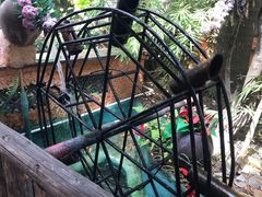 -园林美食城·本土农家菜(杨和镇店)