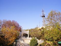 -紫金山山顶公园