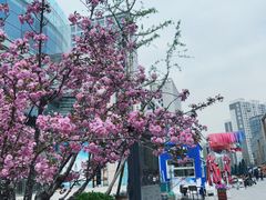 -方恒购物中心(望京小街店)