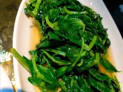 -舌尖上的食缘花园主题餐厅