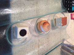 青岛香格里拉大酒店鱼跃地中海餐厅-香格里拉鱼跃地中海西餐厅·牛排披萨
