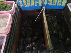 -大湾区中央湿地公园-十九涌