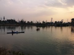 -白鹭湾湿地公园