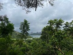 -深圳仙湖植物园