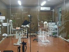 -鑫艺宠物美容培训学校