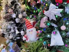 -循礼门鲜花花市(武汉循礼门店)