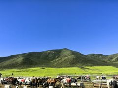 -扁都口生态休闲旅游区