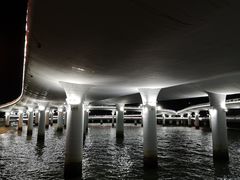 -演武大桥观景平台