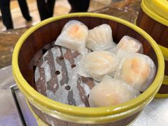 -南宁沃顿国际大酒店-自助餐厅