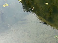 -湘湖大院(越王路店)