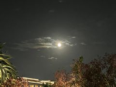 -城市大道红炉披萨烘焙坊