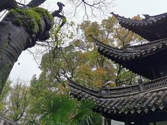 -天一阁博物院