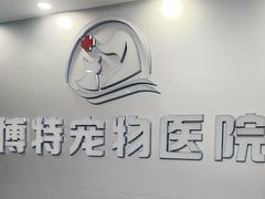 -博特宠物医院24h犬猫全科.骨科·异宠