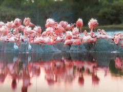 -罗红摄影艺术馆