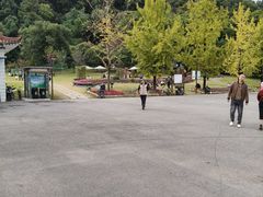 -团城山公园