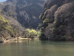 -少华山国家森林公园