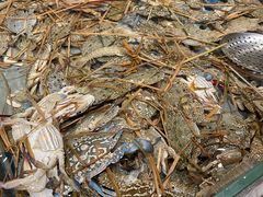 -一方渔歌蒸汽海鲜自助(文化路万达广场店)